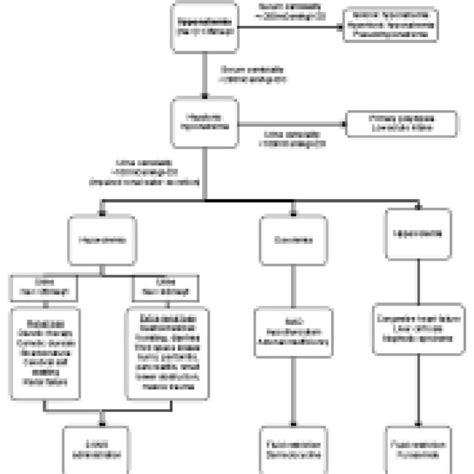 Hyponatremia Algorithm 的图像结果