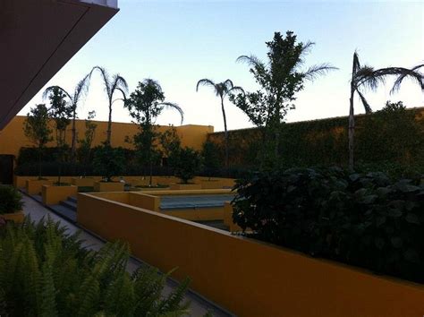 Courtyard by Marriott Leon at The Poliforum Pool: Pictures & Reviews ...