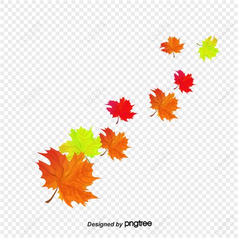 Image result for Maple Vector Plot