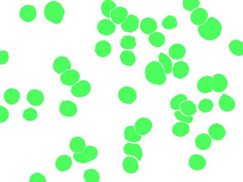 BBBC041Seg - Dataset Ninja