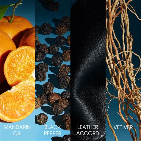 Image result for CK Defy