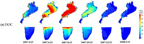 Influence of Nutrient Desorbed from Sediments and Density Variations ...