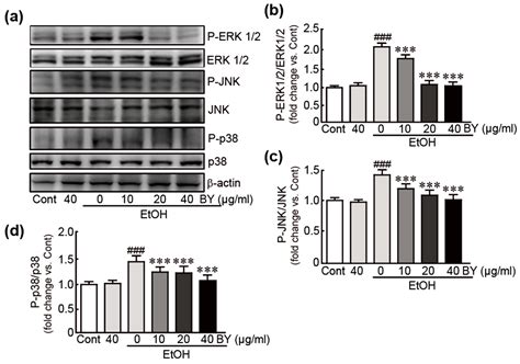 Bulbils of Aerial Yam Attenuate Ethanol-Induced Hepatotoxicity in HepG2 ...
