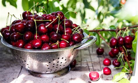 नींद आने का रामबाण उपाय nind aane ke upay नींद नहीं आती उपाय – Sleepsia ...