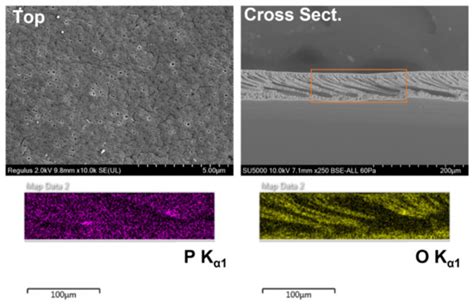 Membranes for the Capture and Screening of Waterborne Plutonium Based ...