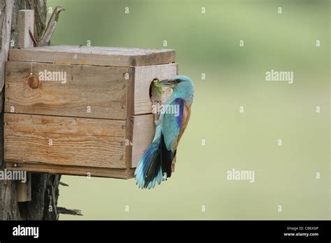 Image result for Computer System without Names
