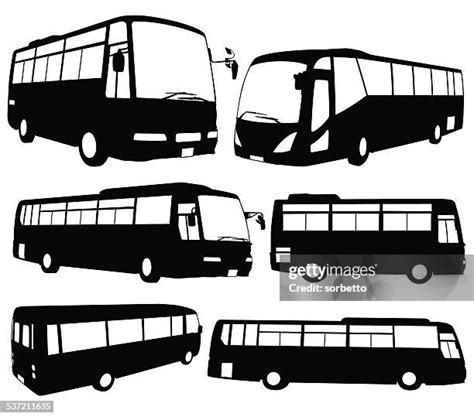 Image result for Tui Bus Liver Side View