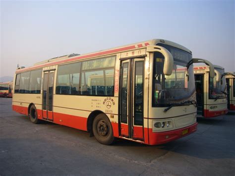 青岛公交1996-1999经典车型_哔哩哔哩 (゜-゜)つロ 干杯~-bilibili