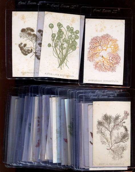 Lot Detail - 1860's Prang Instant Collection of (398) Cards from (20 ...
