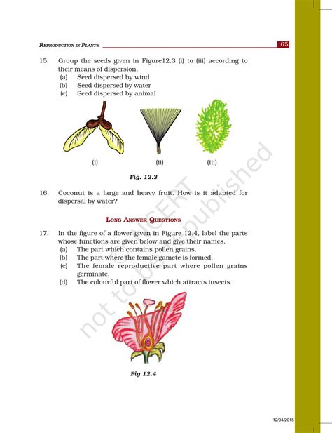 Image result for Class 7 Science Chapter Reproduction