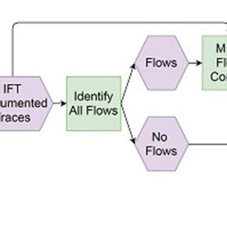 Image result for Isadora Programming
