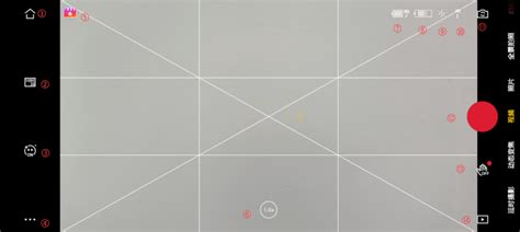 DJI Mimo App Tutorial 的图像结果