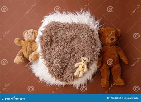 Digital Newborn Background for Baby Girls and Boys. Brown Colors, Fur ...