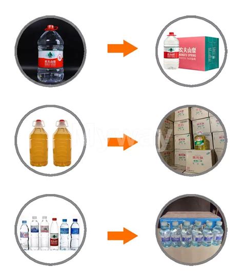 Rezultat imagine pentru Case Packer Types