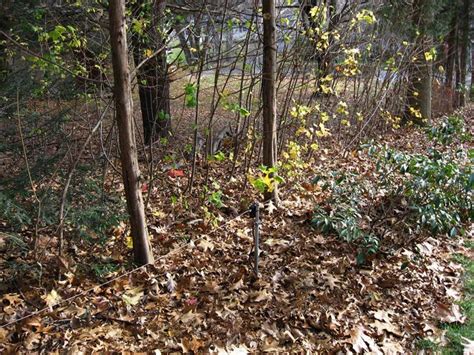 Image result for Loop to Loop Line Connection