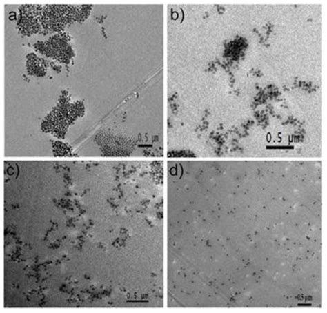 Epoxy Resin Nanocomposites: The Influence of Interface Modification on ...