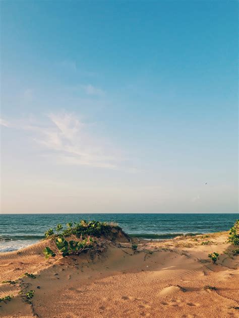 Running at the Beach 的图像结果