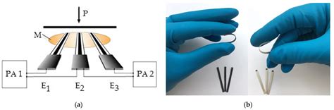 Flexible Potentiometric Sensor System for Non-Invasive Determination of ...