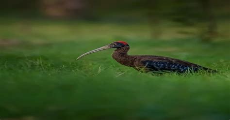 Sector 134, Noida - Map, Pincode, Property Rates, Photos & Reviews 2026