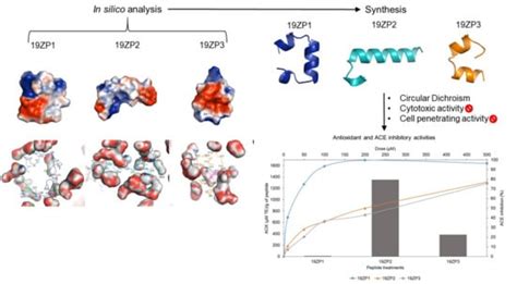 In Silico Analysis and In Vitro Characterization of the Bioactive ...