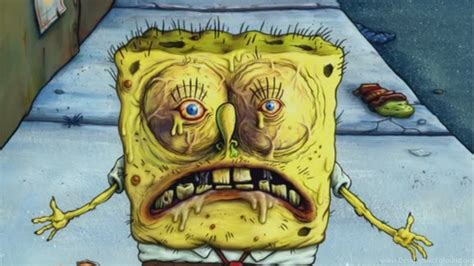 Funny Spongebob Wallpapers ·① WallpaperTag