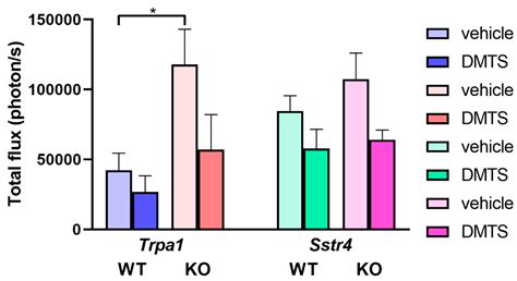 Dimethyl Trisulfide Diminishes Traumatic Neuropathic Pain Acting on ...