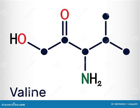 Valine Chemical Structure. Vector Illustration Hand Drawn | CartoonDealer.com #232834192