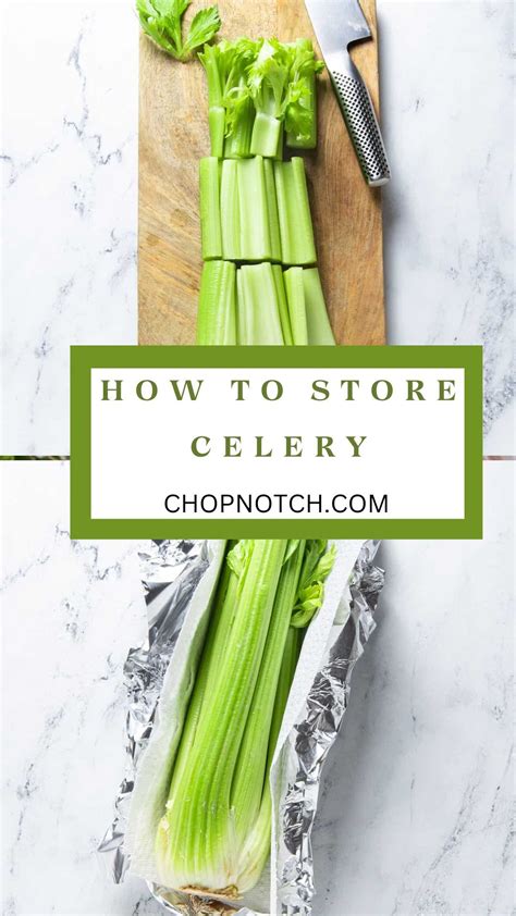 How To Store Celery: Best Ways To Keep It Fresh For Longer in 2024 | Fast easy desserts, How to ...