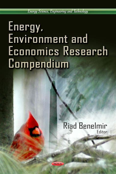 Buy Energy, Environment & Economics Research Compendium (Energy Science ...