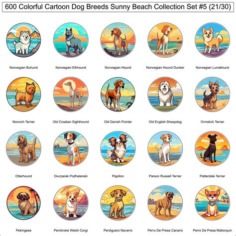 Colorful Dog Breeds Cartoon Characters Sunny Beach Bundle Collection ...