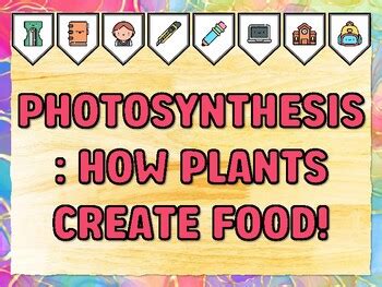 PHOTOSYNTHESIS: HOW PLANTS CREATE FOOD! Grade 3 Science Bulletin Board ...