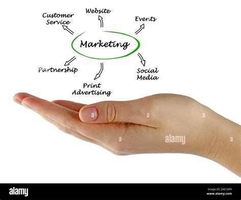 Diagram About Marketing 的图像结果