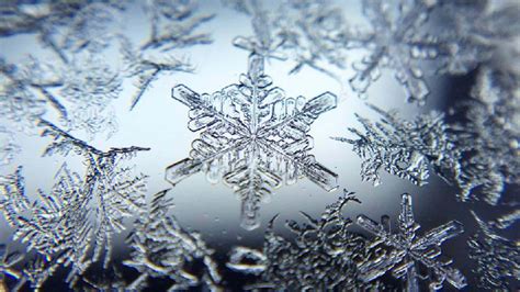 Snowflake Data Background 的图像结果