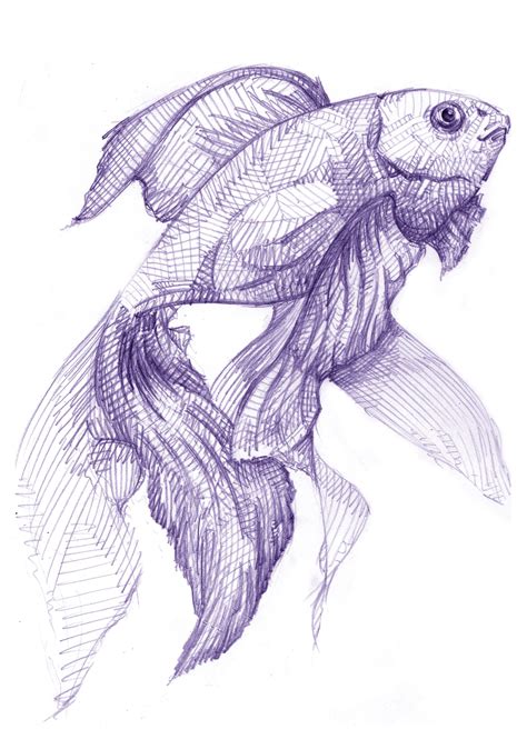 ink drawing fish