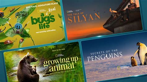 Los mejores documentales sobre naturaleza de National Geographic en ...