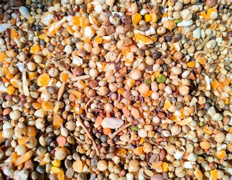 Buy GLOBAL GREEN - Pigeon Special Seed Mixed 1KG Pack (15 Type Seed Mix ...