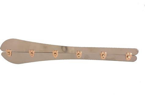 Buy Supersenter 13 Inch Corset Spoon Busk with Gold Buttons - Stainless ...