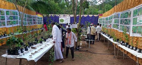 HISTORY OF AYURVEDA | Ayurvedic Medicinal Plants