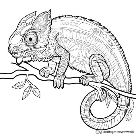 Chameleon Coloring Pages - Free & Printable!
