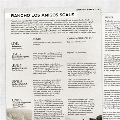 Rancho Los Amigos Scale for Families - Etsy