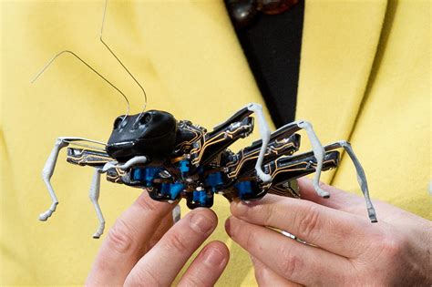Robot Insect 的图像结果