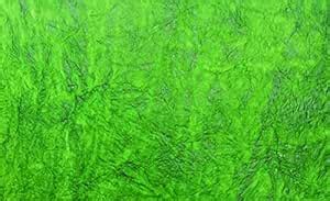 AA A4 Size GREEN 2 COLOR Handmade Paper Sheets for Decoration, Art ...