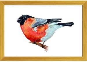 Watercolor Bird D Paper Poster Golden Frame | Top Acrylic Glass 1inch x ...