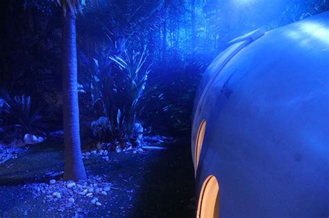 Image result for Dynamic Advanced Training