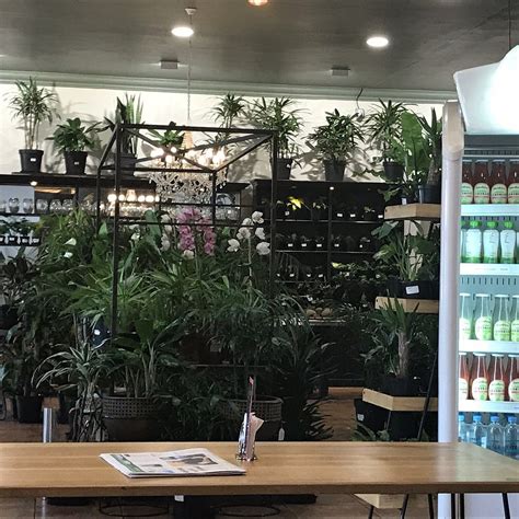 FALAFEL FUNDI, Durban - Restaurant Reviews, Phone Number & Photos ...