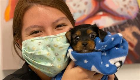 More Ways To Give - Emancipet