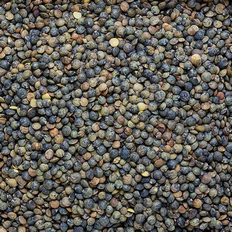 Lentil hijau, ditanam secara tradisional, dari Perancis, 1kg, tas