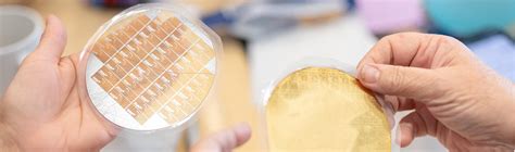 Tutorial videos | Stanford Digital Repository services