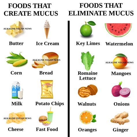 Alkaline vs Mucus Forming Foods | Food facts, Vegan news, Healing food