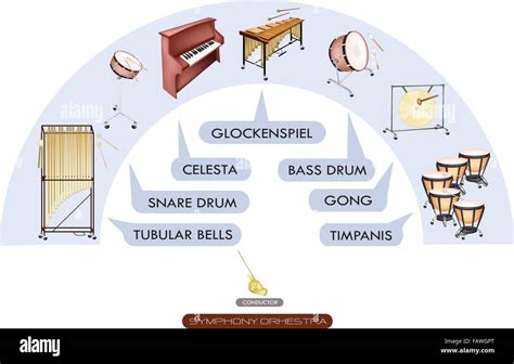 Image result for Percussion Section Instruments